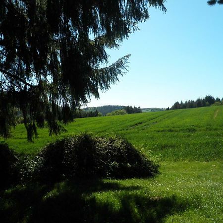 Blick In Die Suedeifel Biersdorf エクステリア 写真