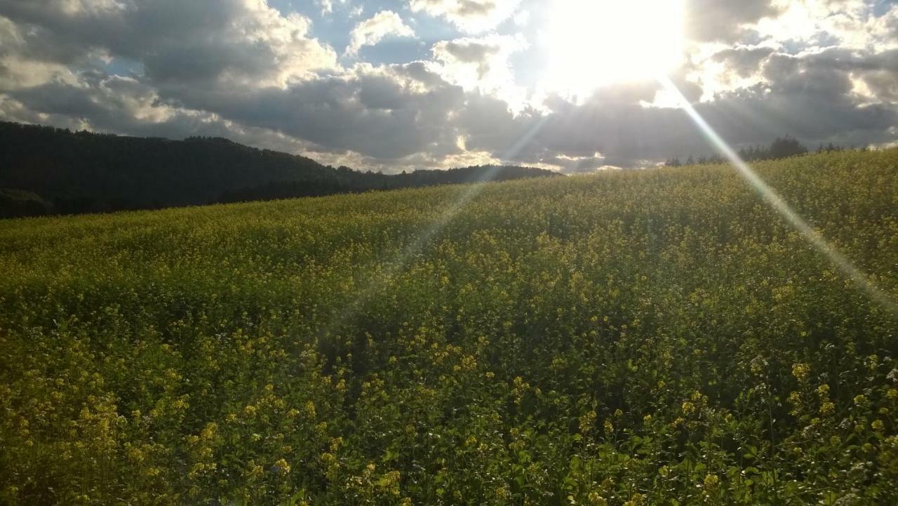 Blick In Die Suedeifel Biersdorf エクステリア 写真